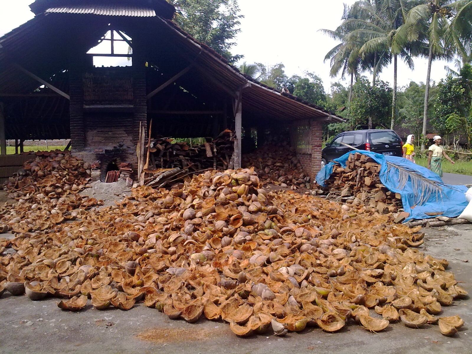 Coconut Shell Charcoal