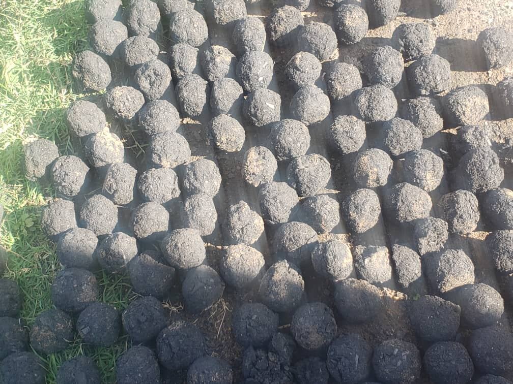 Charcoal Briquettes export sample 1