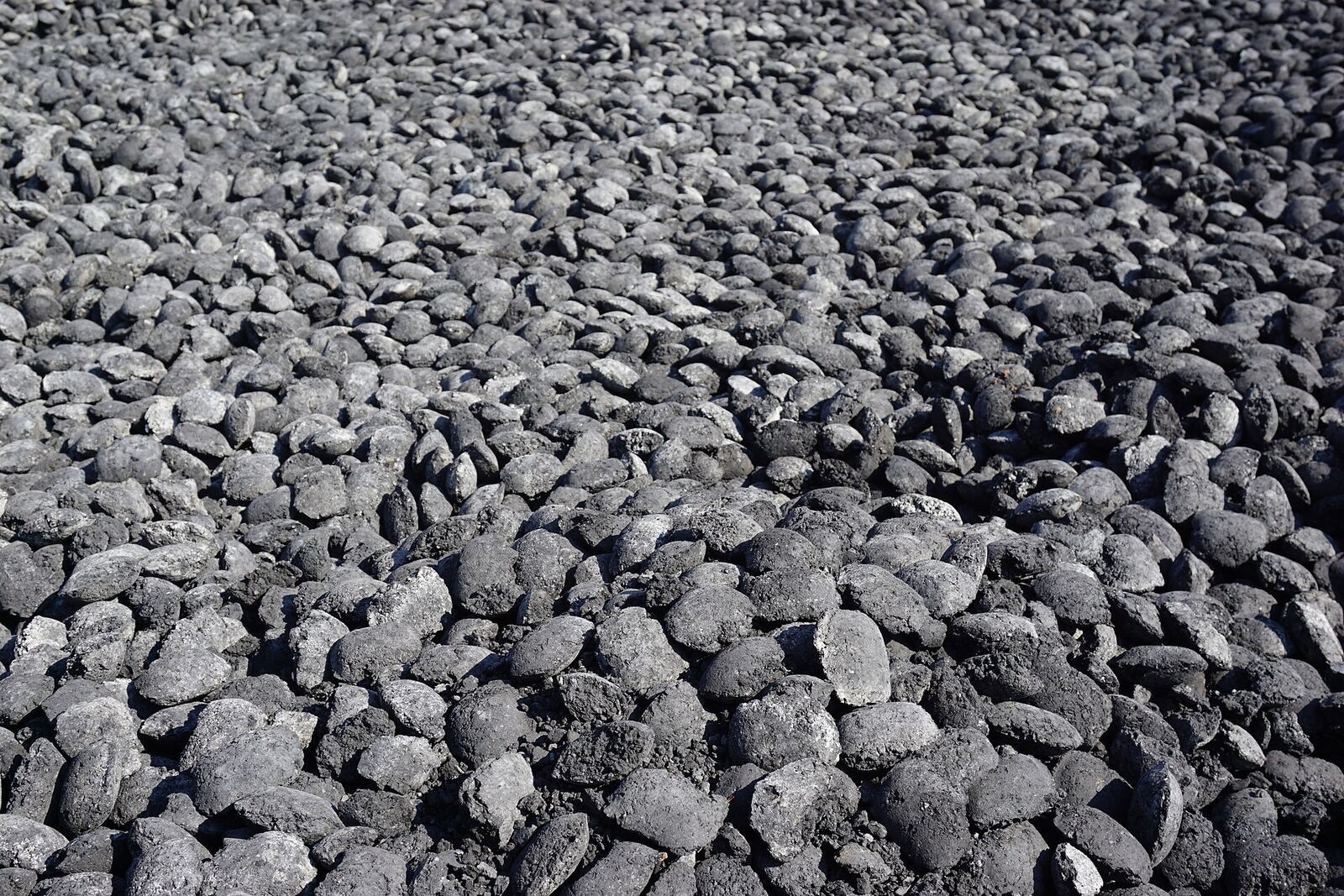Charcoal Briquettes export sample 2