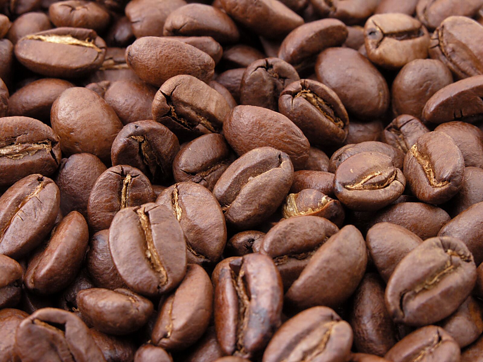 Coffee export sample 2