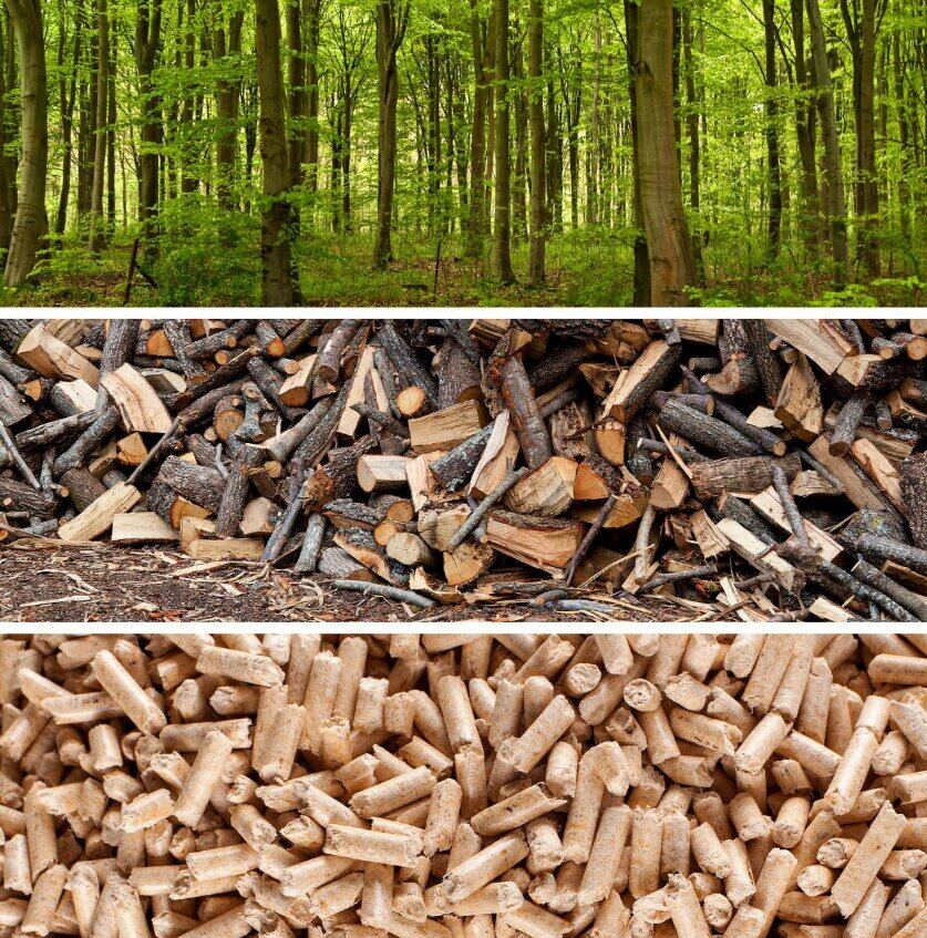 Wood Pellets export sample 2
