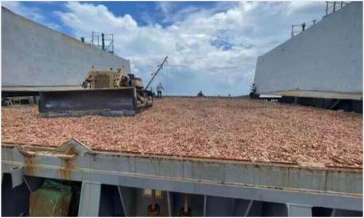 Cargo vessel loaded for export